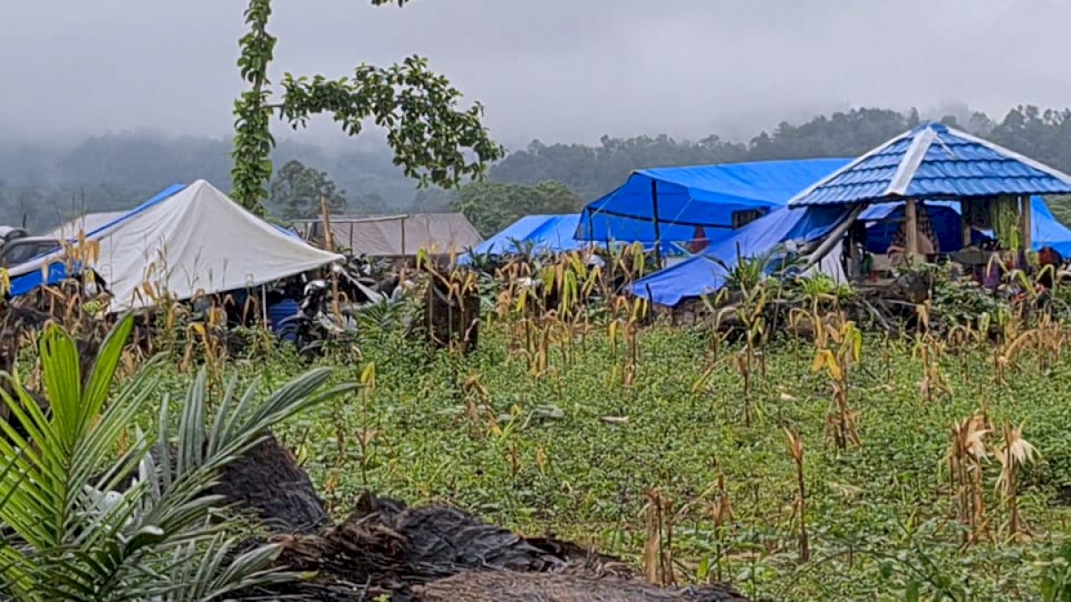 NA Minta Pangdam Ganti Tenda Pengungsi Korban Banjir Bandang Lutra