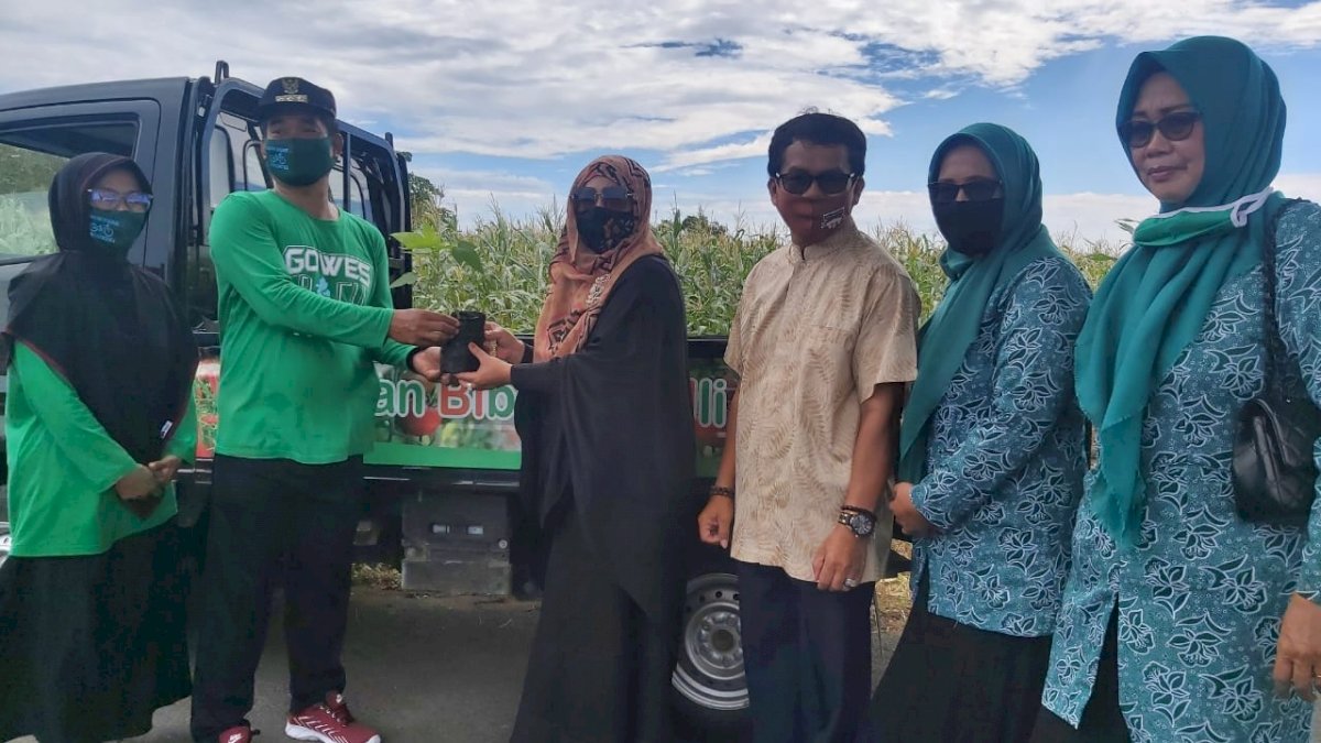 Erna Taufan Serahkan Bantuan Bibit Pepaya California untuk Kecamatan Bacukiki