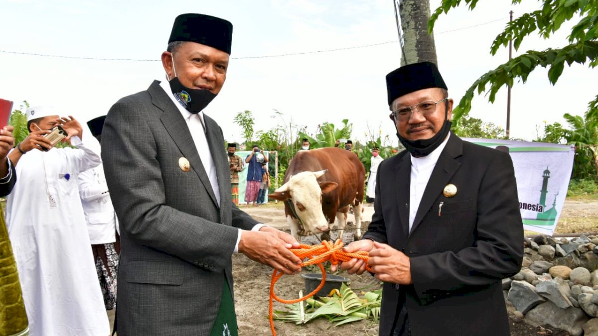 Sapi Kurban Milik Presiden Jokowi Diserahkan Nurdin ke Bupati Jeneponto