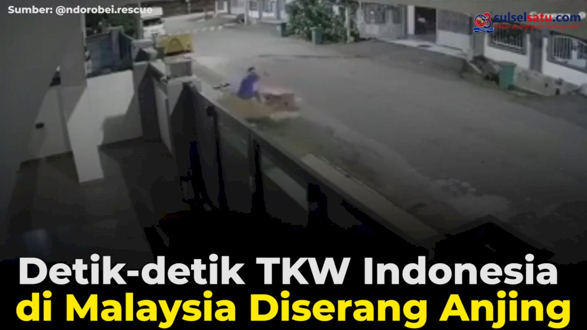 VIDEO: Detik-detik TKW Indonesia di Malaysia Diserang Anjing
