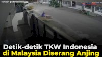 VIDEO: Detik-detik TKW Indonesia di Malaysia Diserang Anjing