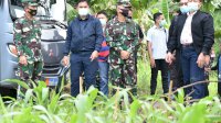 Kasal Tinjau Lahan Program Ketahanan Pangan Lantamal VI di KM 17 Makassar