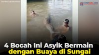 VIDEO: 4 Bocah Asyik Bermain dengan Buaya di Sungai