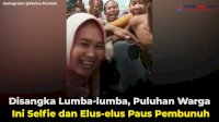 VIDEO: Disangka Lumba-lumba, Puluhan Warga Ini Selfie dan Elus-elus Paus Pembunuh