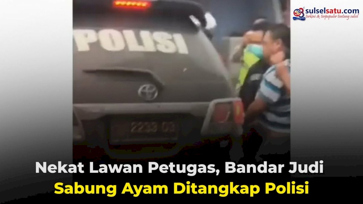 VIDEO: Nekat Lawan Petugas, Bandar Judi Sabung Ayam Ditangkap Polisi