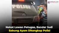 VIDEO: Nekat Lawan Petugas, Bandar Judi Sabung Ayam Ditangkap Polisi