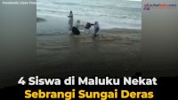 VIDEO: Nyaris Hanyut, 4 Siswi di Maluku Nekat Sebrangi Sungai Deras