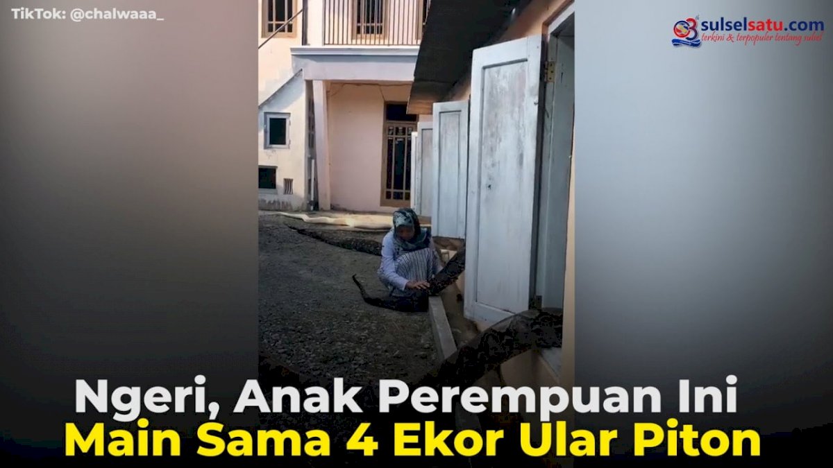VIDEO: Ngeri, Anak Perempuan Ini Main Sama 4 Ekor Ular Piton