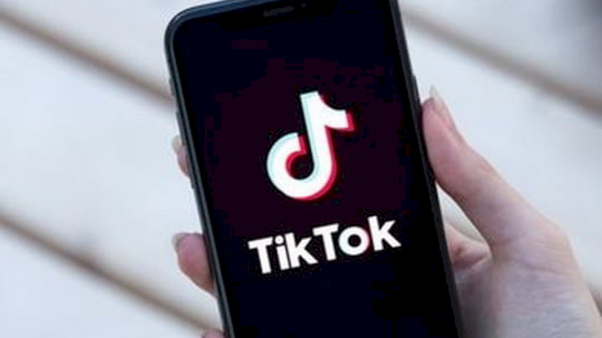 Sukses Pajaki Netflix Cs, Kemenkeu Bidik TikTok hingga Alexa