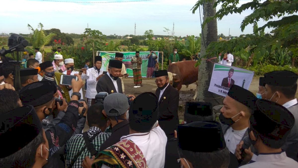 Gubernur Sulsel Antar Langsung Sapi Kurban Bantuan Presiden ke Jeneponto
