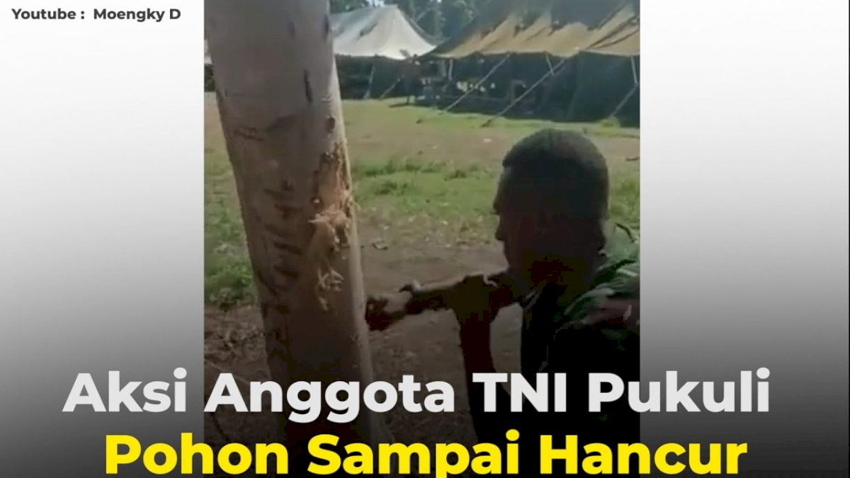 VIDEO: Aksi Anggota TNI Pukuli Pohon Sampai Hancur