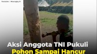 VIDEO: Aksi Anggota TNI Pukuli Pohon Sampai Hancur
