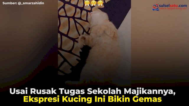 istimewa