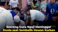 VIDEO: Seorang Guru Ngaji Meninggal Dunia saat Sembelih Hewan Kurban