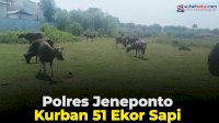 VIDEO: Sisipkan Gaji Selama 12 Bulan, Polres Jeneponto Kurban 51 Ekor Sapi