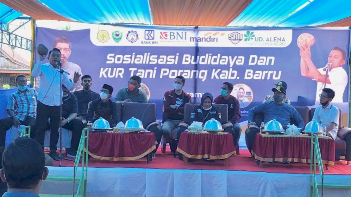 Syaharuddin Alrif Ajak Masyarakat Barru Tanam Porang