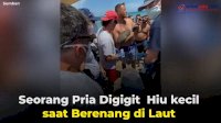 VIDEO: Seorang Pria Digigit Hiu Kecil saat Berenang di Laut