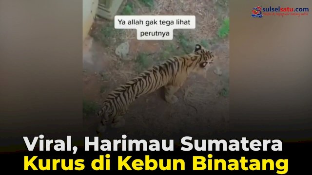istimewa