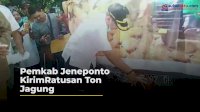 VIDEO: Pemkab Jeneponto Kirim Ratusan Ton Jagung untuk Industri Pakan Ternak di Makassar