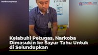 VIDEO: Kelabuhi Petugas, Narkoba Dimasukin ke Sayur Tahu Untuk di Selundupkan