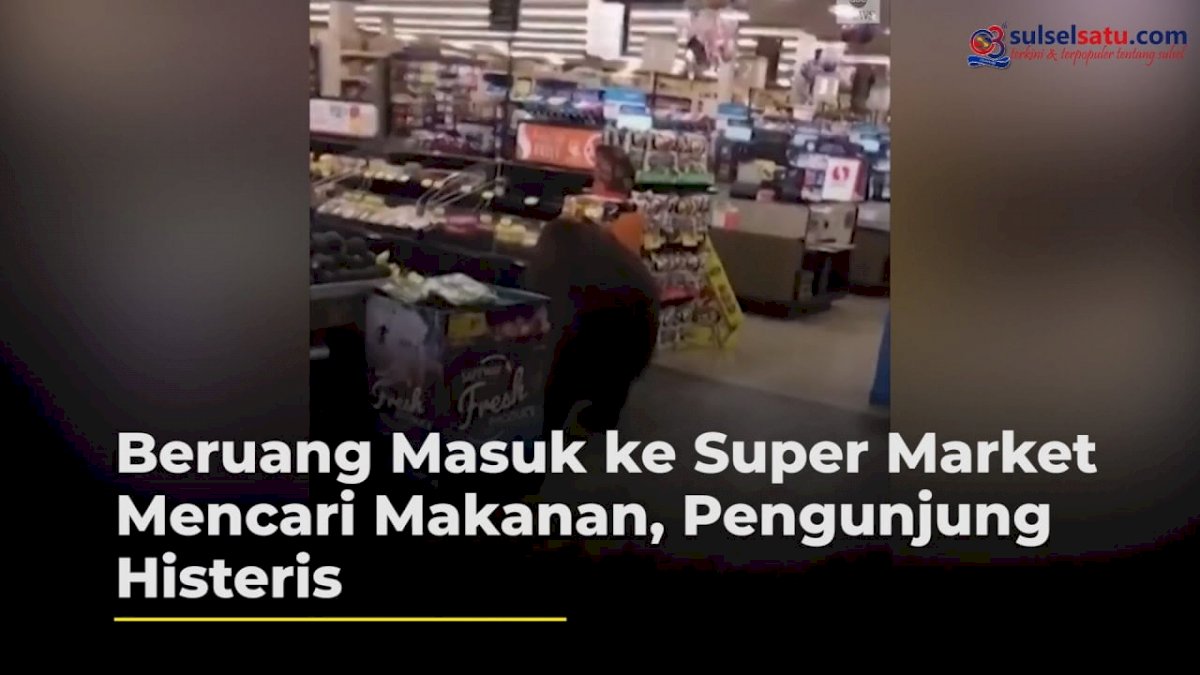 VIDEO: Kelaparan, Beruang Masuk ke Super Market Mencari Makanan