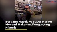 VIDEO: Kelaparan, Beruang Masuk ke Super Market Mencari Makanan