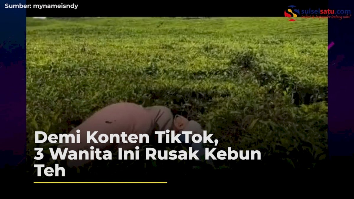 VIDEO: Demi Konten TikTok, 3 Wanita Ini Rusak Kebun Teh