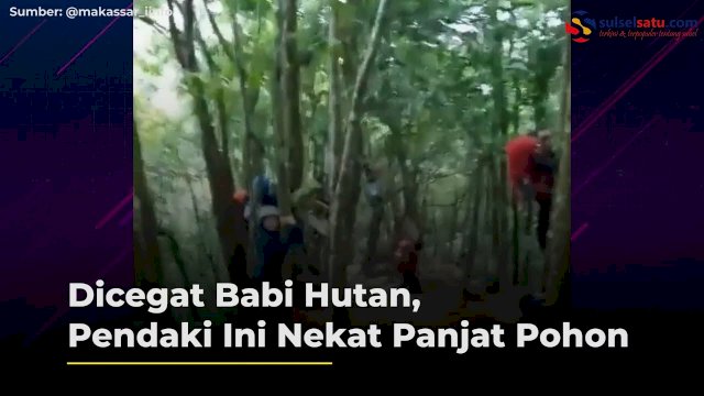 istimewa