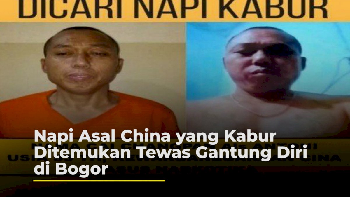 VIDEO: Napi Asal China yang Kabur Ditemukan Tewas Gantung Diri di Bogor
