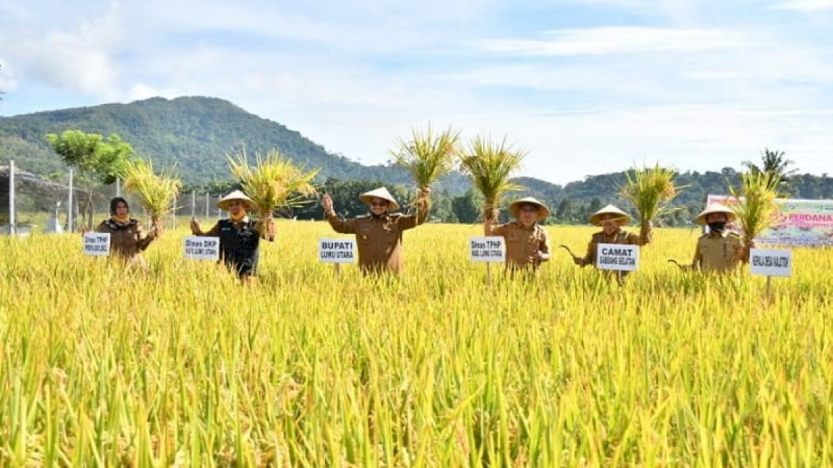 Meski Pandemi Covid-19, Panen Ubinan di Desa Kalotok Capai 8,4 Ton