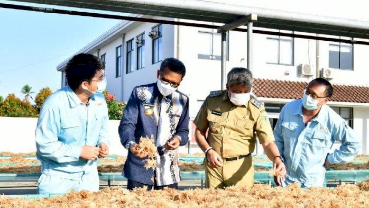 Nurdin Abdullah Lakukan Pelepasan Kontainer Perdana Kemiri Sultan Pinrang ke Hongkong