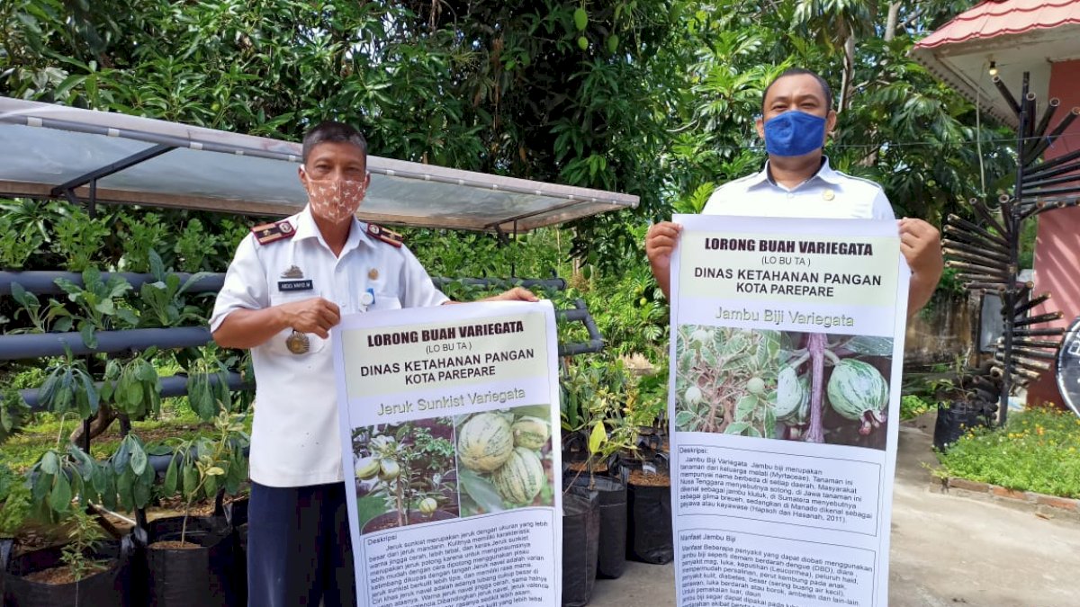 Pemkot Parepare Inisiasi Hadirnya Lorong Peduli Pangan