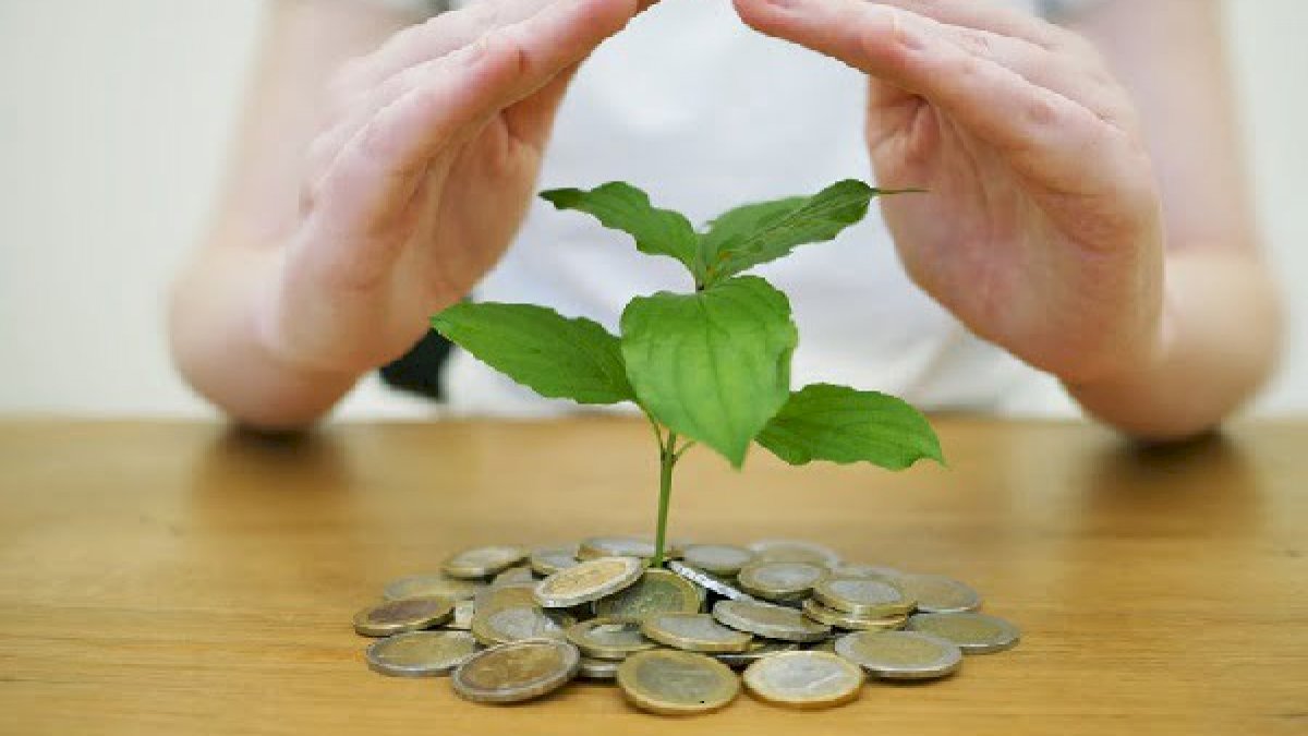 Masyarakat Sulsel Melek Investasi, Total SID Pasar Modal Naik 19,55 Persen