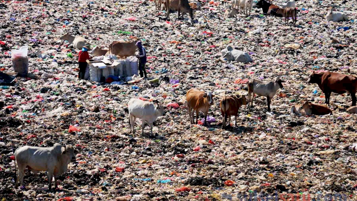 Pembahasan Studi Kelayakan Jadi Kendala Pembangun PLTSa
