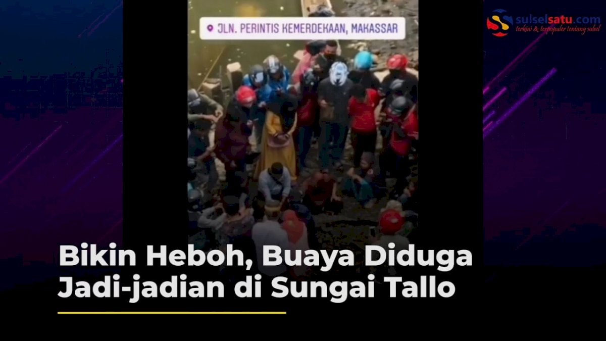 VIDEO: Bikin Heboh, Buaya Diduga Jadi-jadian di Sungai Tallo