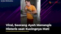 VIDEO: Viral, Seorang Ayah Menangis Histeris saat Kucingnya Mati