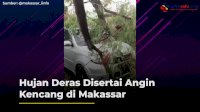 VIDEO: Hujan Deras Disertai Angin Kencang di Makassar, 1 Mobil Tertimpa Pohon
