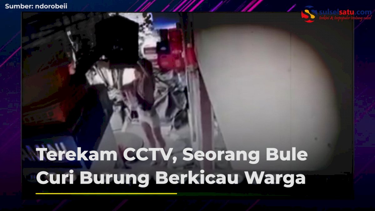 VIDEO: Terekam CCTV, Seorang Bule Curi Burung Berkicau Warga