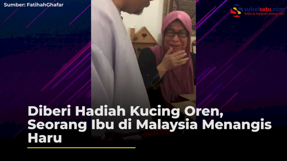 VIDEO: Diberi Hadiah Kucing Oren, Seorang Ibu di Malaysia Menangis Haru