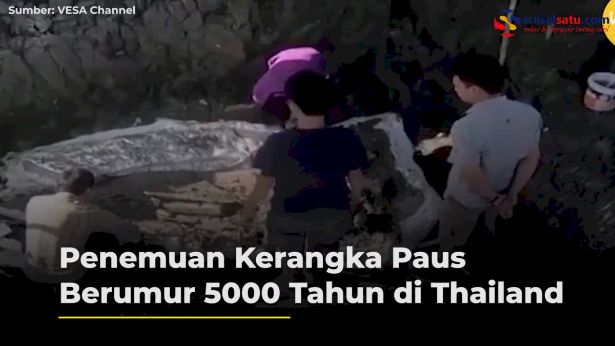 VIDEO: Penemuan Kerangka Paus Berumur 5000 Tahun di Thailand