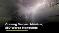 VIDEO: Gunung Semeru Meletus, 550 Warga Mengungsi