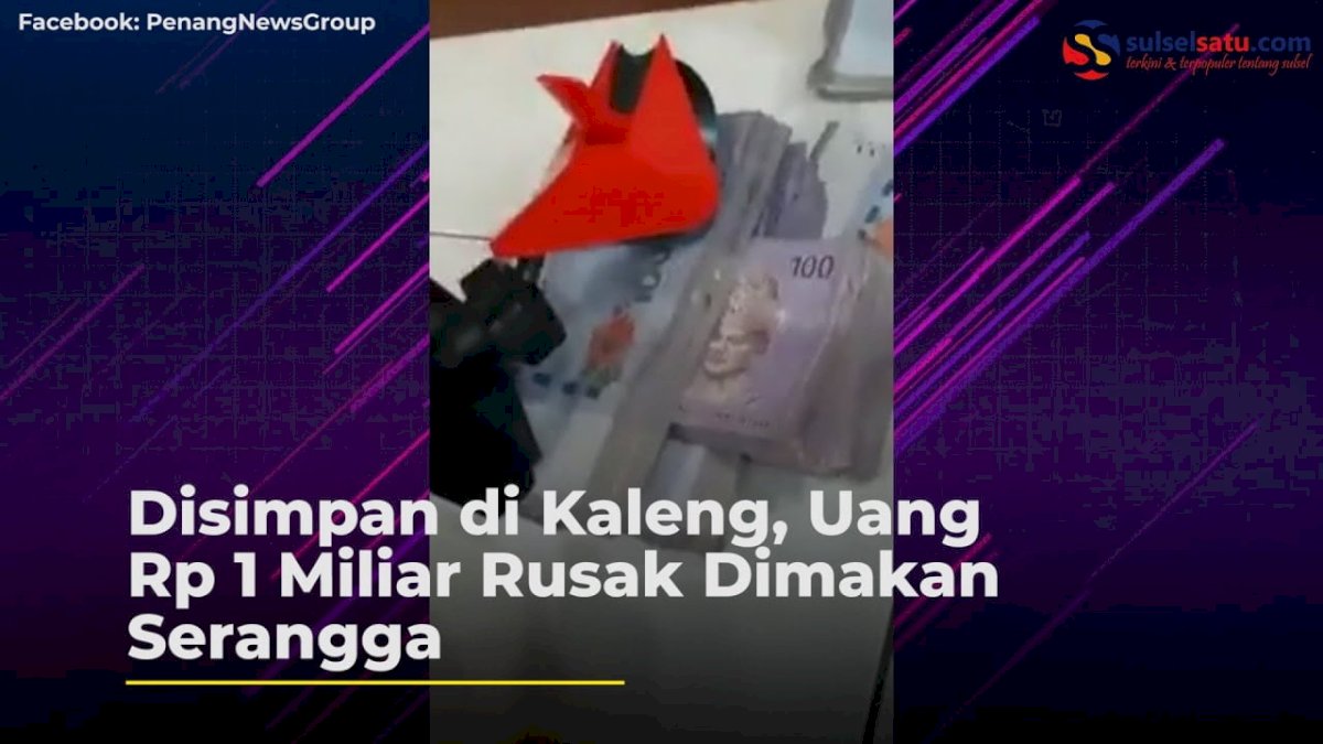 VIDEO: Disimpan di Kaleng, Uang Rp 1 Miliar Rusak Dimakan Serangga