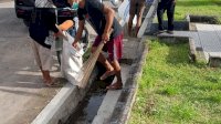 Kecamatan Ujung-DLH Kolaborasi Bersihkan Taman Mattirotasi