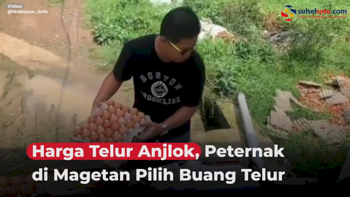 VIDEO: Harga Telur Anjlok, Peternak di Magetan Pilih Buang Telur ke Sawah
