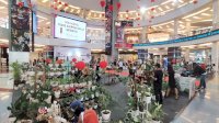 Lagi Kekinian, TSM Makassar Hadirkan Pameran Tanaman Hias