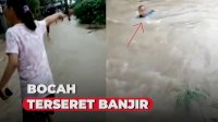VIDEO: Bocah Terseret Banjir, Warga Teriak Histeris