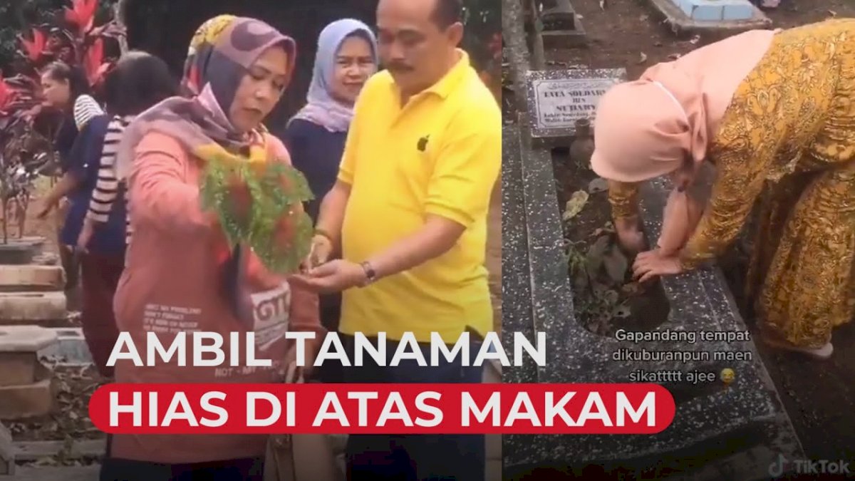 VIDEO: Viral, Emak-emak Ini Ambil Tanaman Hias di Atas Kuburan