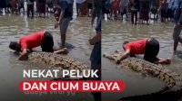 VIDEO: Buaya Terdampar di Kolaka Jadi Tontonan