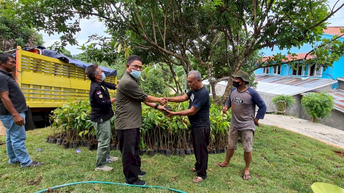 Di Tengah Pandemi, Wakil Ketua MPR Beri Bantuan Bibit Durian Bagi Petani Lutra