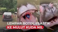 VIDEO: Pengunjung Lempar Botol Plastik di Mulut Kuda Nil, Dikecam Netizen
